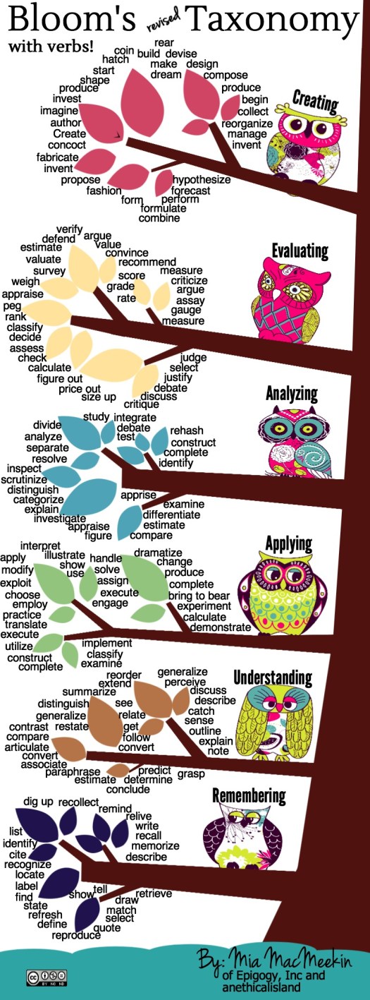 Illustration of owls on a tree on branches representing the different levels in Bloom's Revised Taxonomy. Each branch has leaves in different colours and verbs arranged around the leaves..