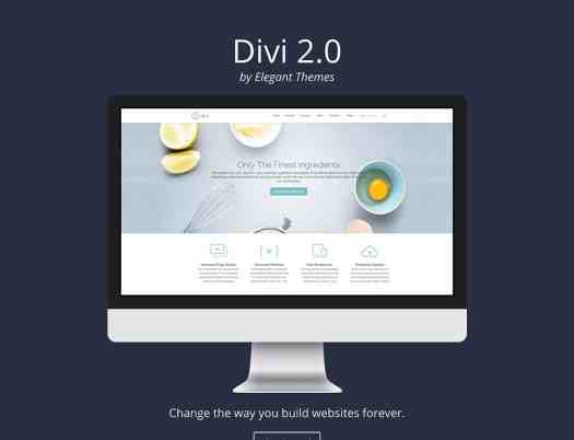 divi-landing-page